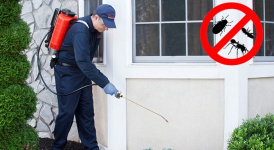 Zonguldak Bit İlaçlama böcek ilaçlama ve haşere kontrolü — ilaclama-tr.com